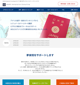 ビザサポートサービス